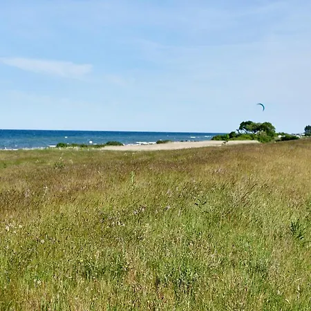 Falshöft Nieby (Nieby, Schleswig-Flensburg)